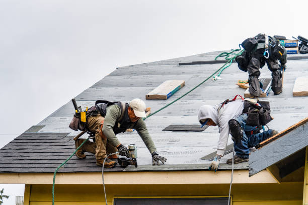 Professional Storm Damage Roof Repair technician working in Burlington, IL